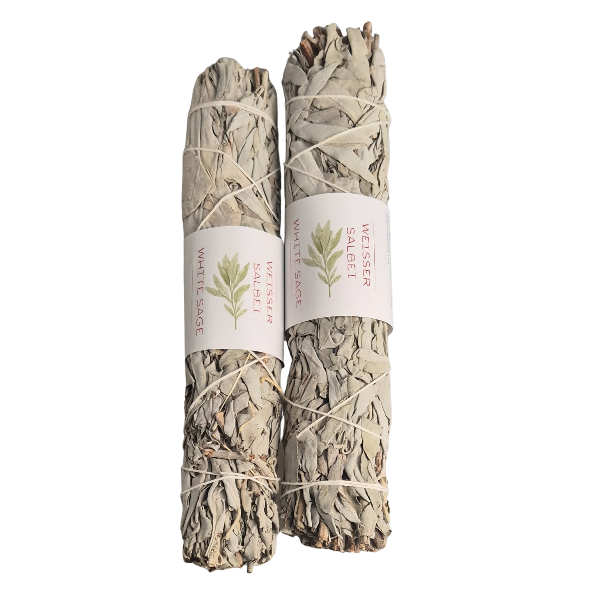 Smudge Weißer Salbei, Räucherbündel groß, 22-25cm lang. Der Weiße Salbei (White Sage) stammt aus Mexico und den USA. Kontrollierte Einfuhr!