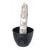 Smudge Bowl Lebensbaum mit XXL White Sage Räucherbündel – MAFUMO